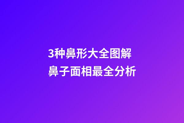 3种鼻形大全图解 鼻子面相最全分析